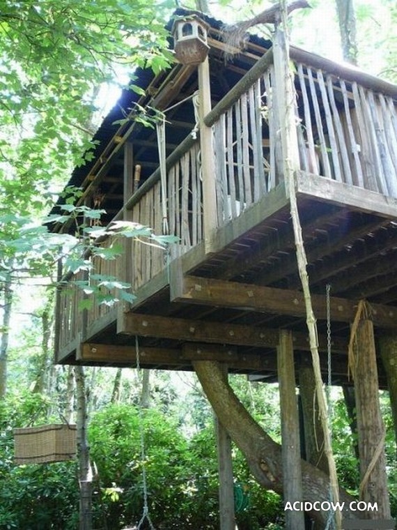 Amazing Treehouses (12 pics)