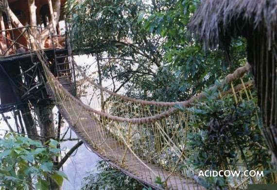Amazing Treehouses (12 pics)