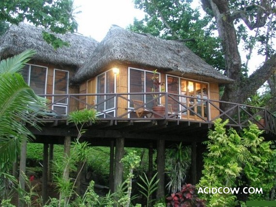 Amazing Treehouses (12 pics)