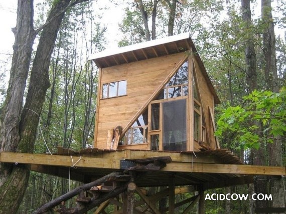 Amazing Treehouses (12 pics)