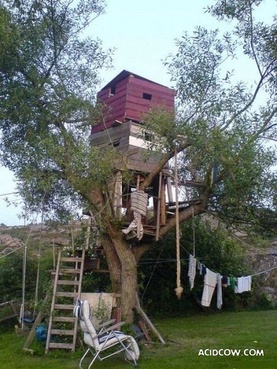 Amazing Treehouses (12 pics)
