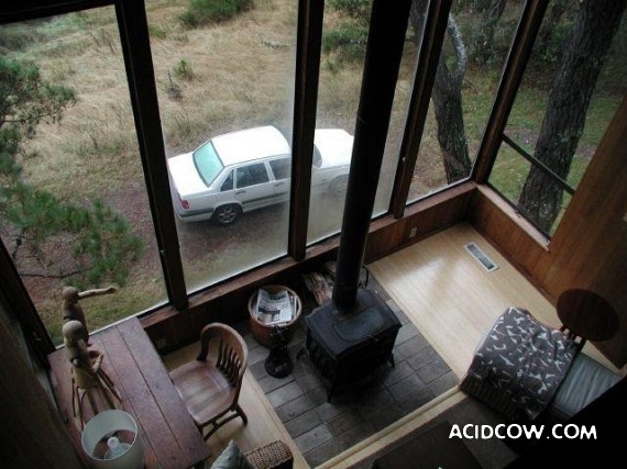 Amazing Treehouses (12 pics)
