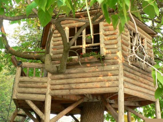 Amazing Treehouses (12 pics)
