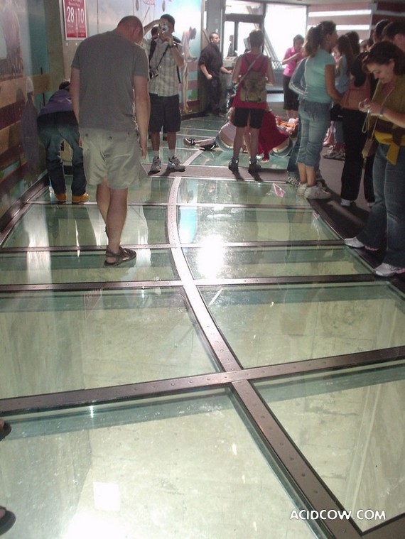 Glass Floor (19 pics)