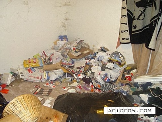 Dirty apartment (30 pics)