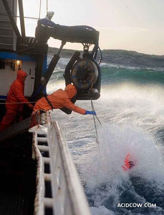 Fishing in Alaska (42 pics)