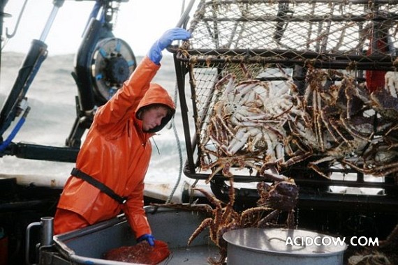 Fishing in Alaska (42 pics)