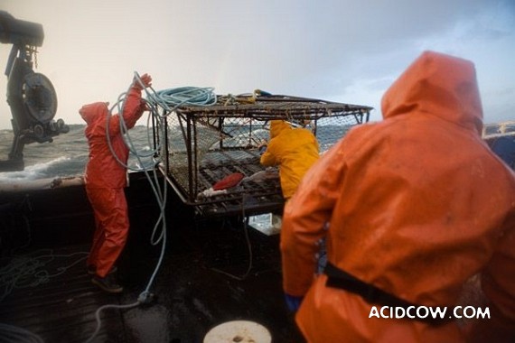 Fishing in Alaska (42 pics)