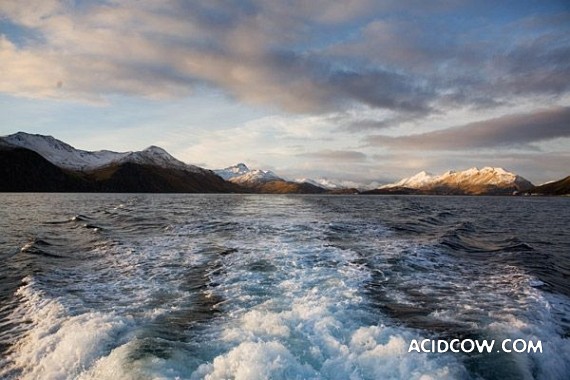 Fishing in Alaska (42 pics)