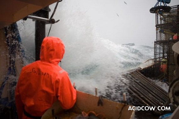 Fishing in Alaska (42 pics)