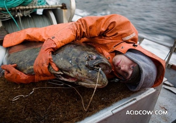 Fishing in Alaska (42 pics)