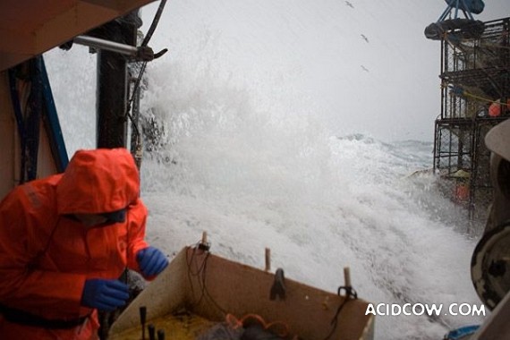 Fishing in Alaska (42 pics)