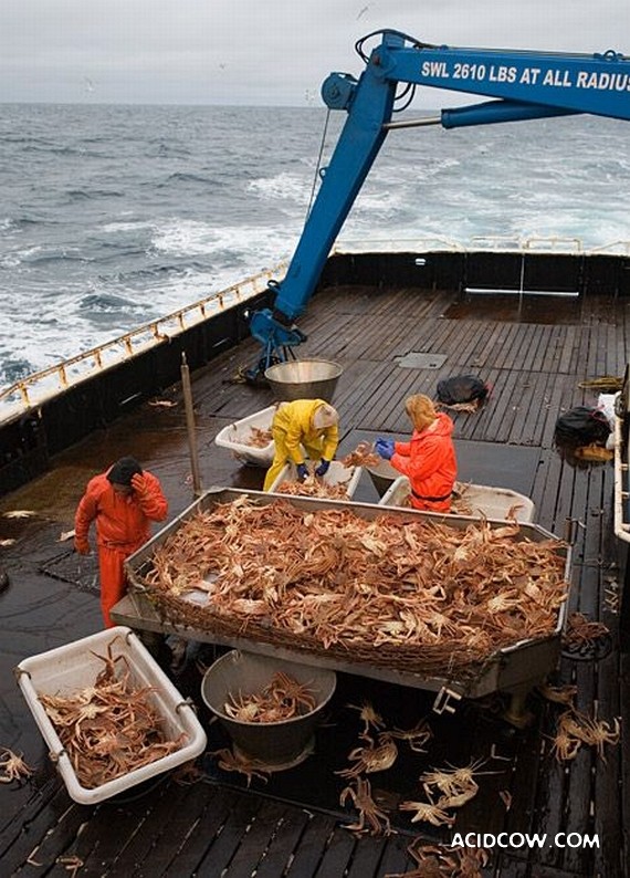 Fishing in Alaska (42 pics)