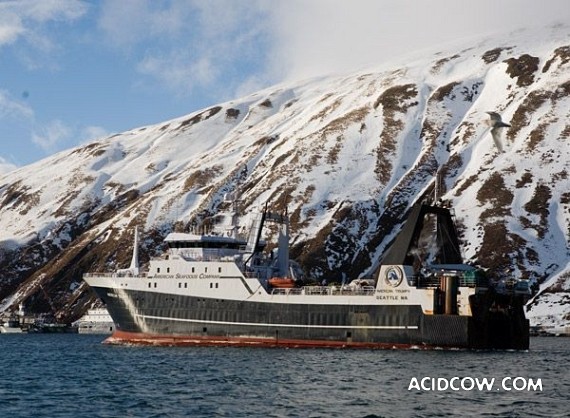 Fishing in Alaska (42 pics)