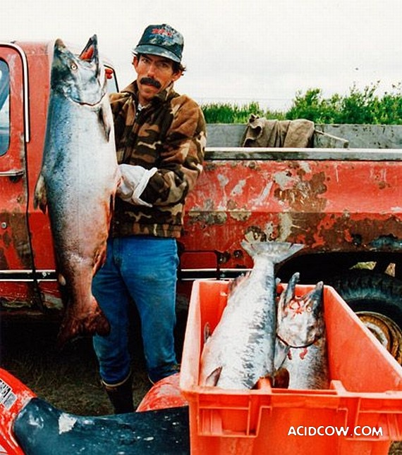 Fishing in Alaska (42 pics)