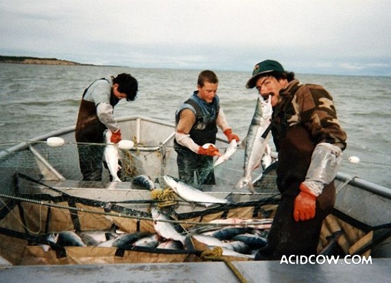 Fishing in Alaska (42 pics)