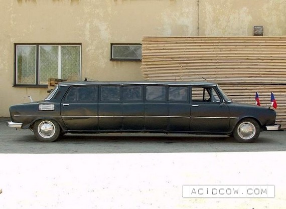 Meet - budget limousine Skoda (12 pics)