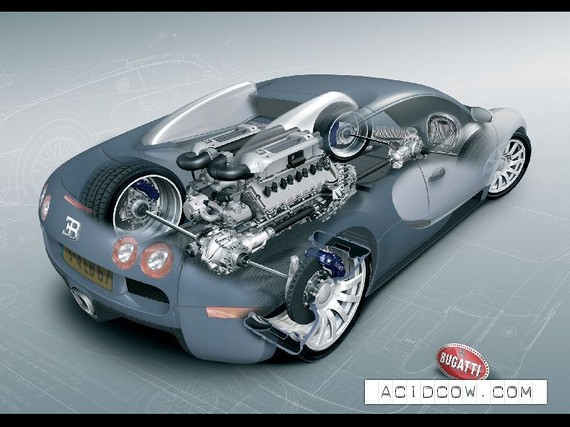 Bugatti Veyron (39 pics)