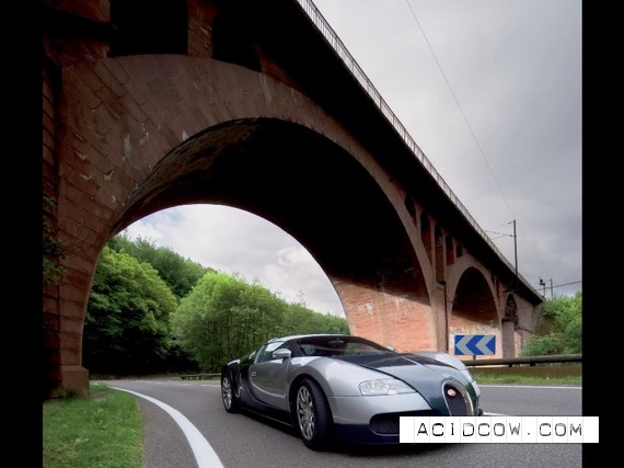 Bugatti Veyron (39 pics)