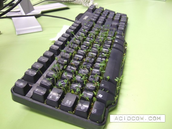 One idea for the office layabouts)) (11 pics)