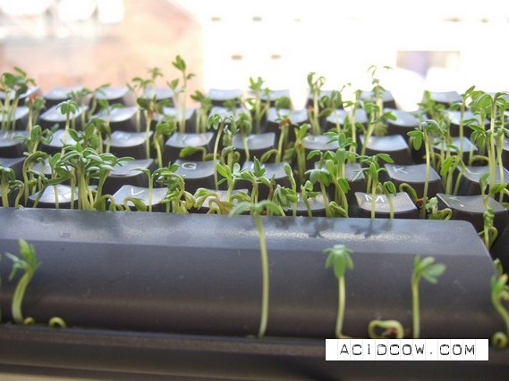 One idea for the office layabouts)) (11 pics)