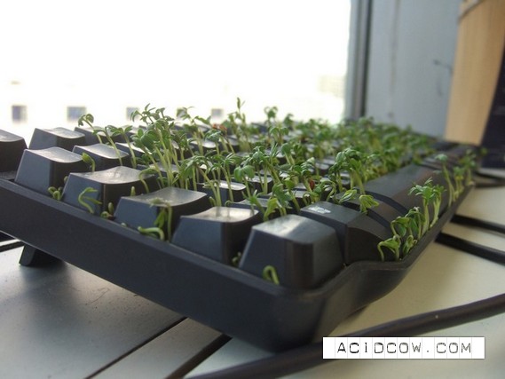 One idea for the office layabouts)) (11 pics)