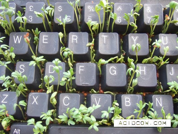 One idea for the office layabouts)) (11 pics)