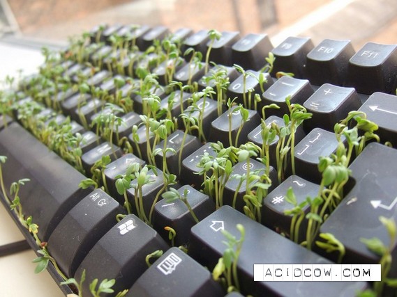 One idea for the office layabouts)) (11 pics)