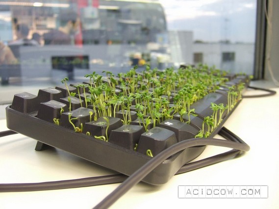 One idea for the office layabouts)) (11 pics)