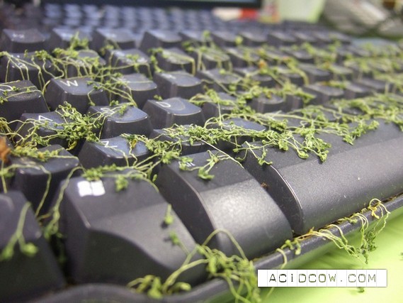 One idea for the office layabouts)) (11 pics)