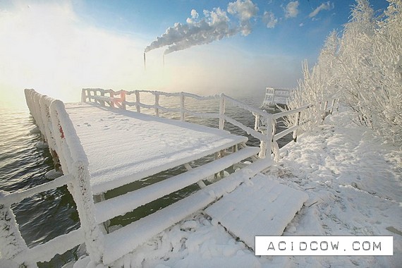 Very beautiful winter photos (18 photo)