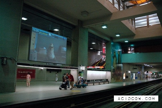 Montreal Metro (30 pics)