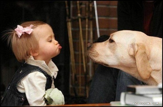 Funny picdump (135 pics)