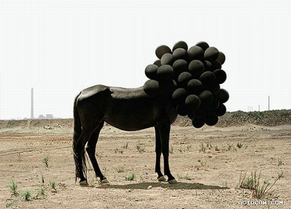 Funny picdump (135 pics)