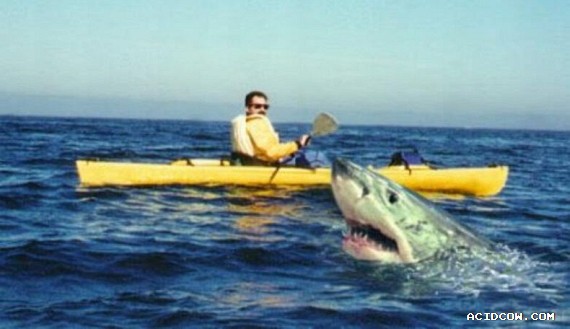 Funny picdump (135 pics)