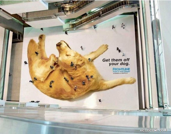 Funny picdump (135 pics)