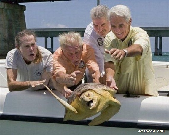 Funny picdump (135 pics)