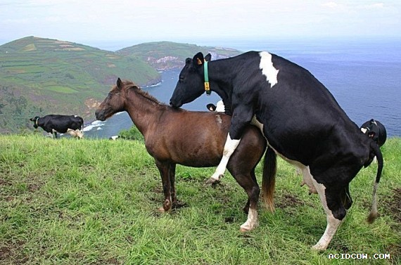 Funny picdump (135 pics)