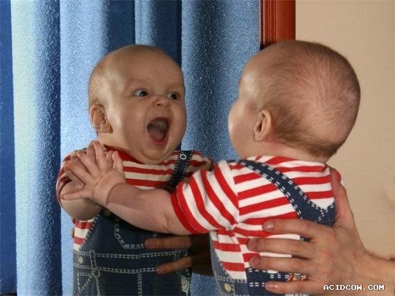 Funny picdump (135 pics)