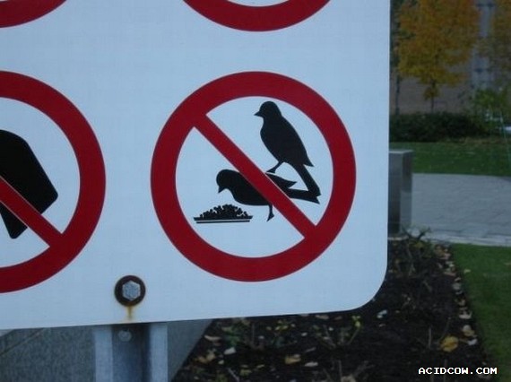 Funny picdump (135 pics)