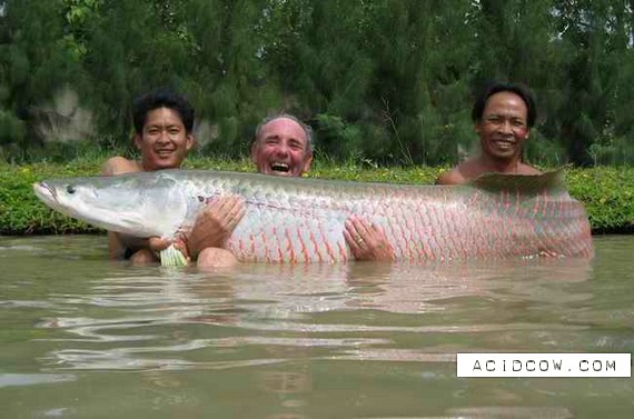 Fishing Thailand (39 pics)