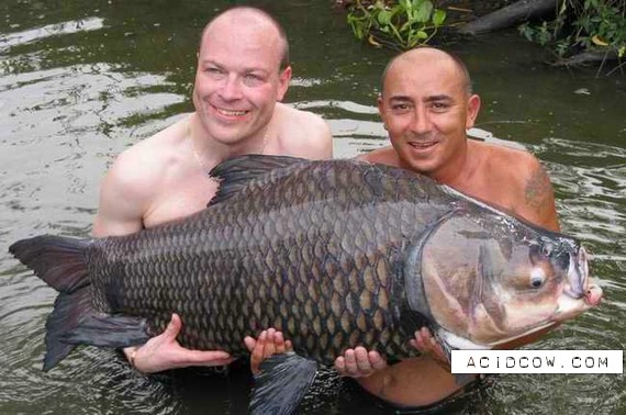 Fishing Thailand (39 pics)