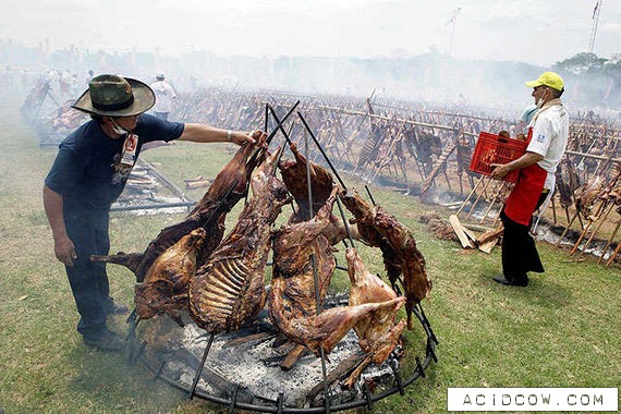 The world’s largest barbecue (8 pics)