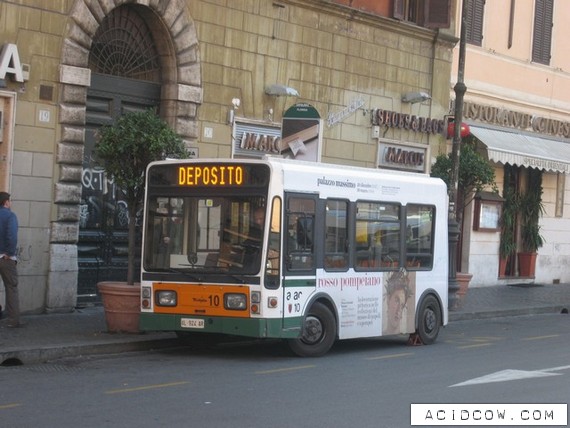 The World's Smallest Bus (10 pics)