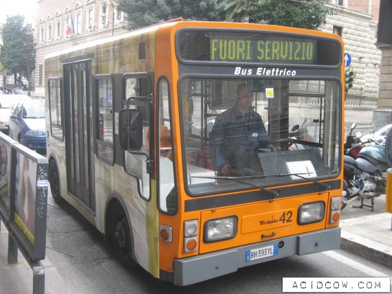 The World's Smallest Bus (10 pics)