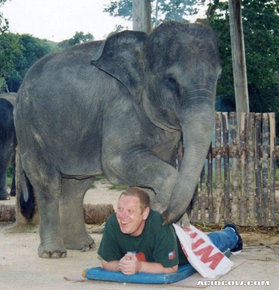 Funny picdump (90 pics)