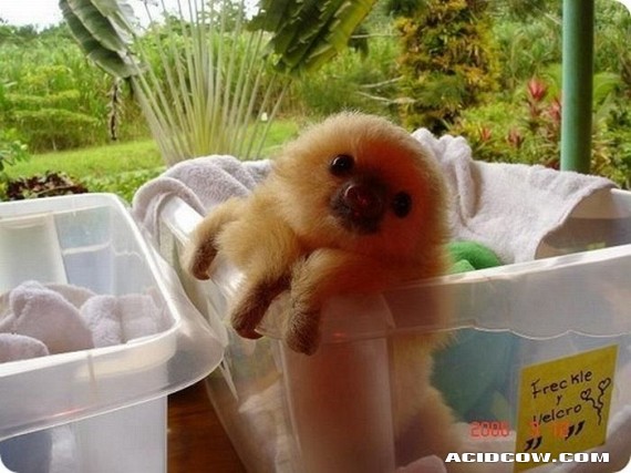 Funny picdump (90 pics)