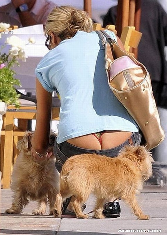 Funny picdump (90 pics)