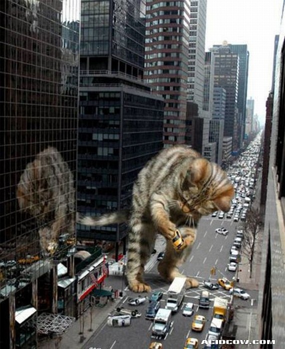 Funny picdump (90 pics)