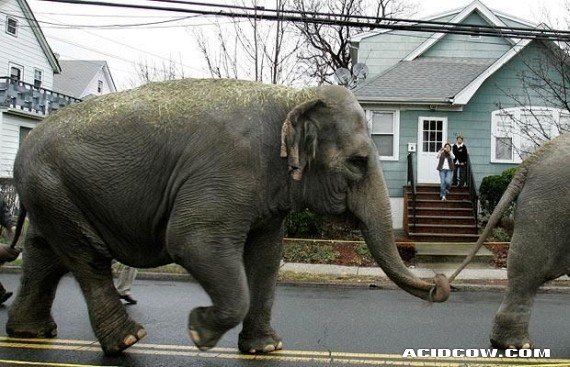 Funny picdump (90 pics)